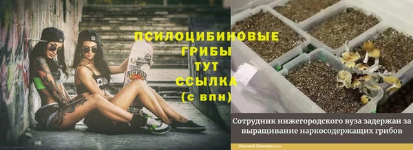 ALPHA PVP Володарск